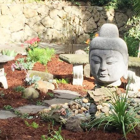 Serene Charming Private Suite Patio, Upscale バークレー エクステリア 写真