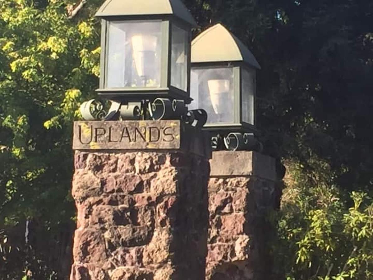 Serene Charming Private Suite Patio, Upscale バークレー エクステリア 写真